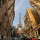 Tour_Eiffel_from_a_street_(3383583243)