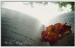 spring reading