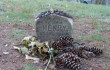 Henry David Thoreau's grave in Concord, Massachusetts.