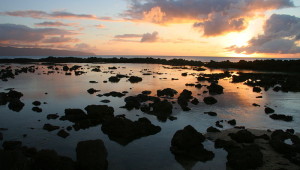 hawaiiansunset
