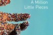 A_Million_Little_Pieces