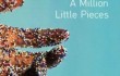 A_Million_Little_Pieces