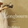 longbourn