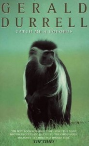 colobus2