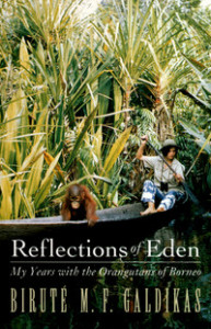 reflectionsofeden