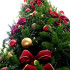 450px-Christmas_tree_sxc_hu