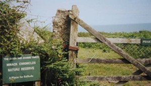 The Minack Chronicles and Oliver Land (Photo credit: Linda Hartley, via Wikimedia Commons).