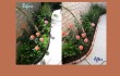 garden diy