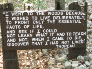 Thoreau's famous quote at the site of his dwelling on Walden Pond. Photo by Mollie Waters