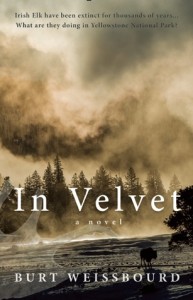 in velvet