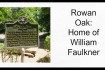Rowan Oak Pic