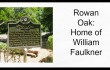 Rowan Oak Pic