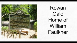 Rowan Oak Pic