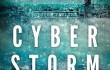 cyber-storm