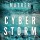 cyber-storm