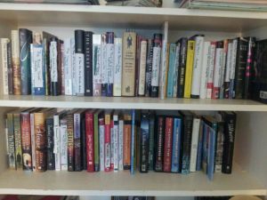 Shelf Challenge December