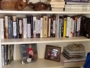 Shelf challenge June